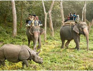 Charity trip to Chitwan National Park Charity trip to Chitwan National Park